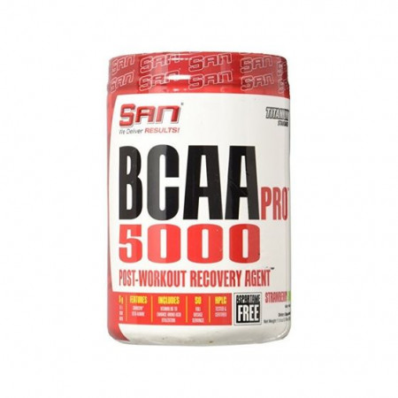 SAN BCAA-PRO 5000 345 г Fruit Punch / Icy Frost